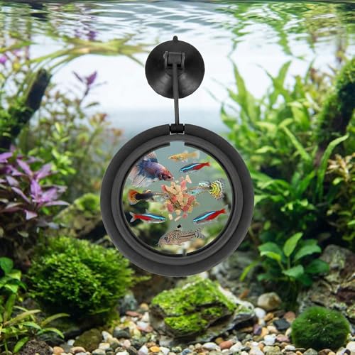 Aquarium Feeding Ring with Suction Cup Holder, Floating Fish Food Circle for Tanks, Black 1 Pack, Turtle Feeding Ring for More Controlled Pellets and Flakes