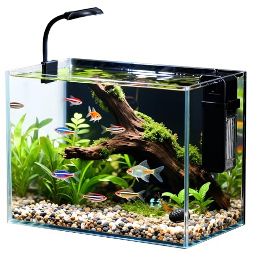 2.5 Gallon Small Fish Tank, Nano Aquarium with Ultra-Clear Glass, LED Light, Filter, Lid, Gravel and Rock, Desktop Beta Fish Aquarium Perfect for Shrimp, Snails or Live Plants