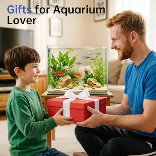 AQQA Automatic Fish Feeder for Aquarium, Moisture-Proof LCD Timer Dispenser | 200ML Large Capacity Fish Food Dispenser, Auto Feeder for Vacation, Betta Turtle Koi Goldfish Small Tank