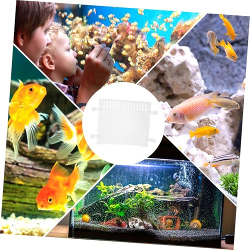 TOYANDONA Transparent Acrylic Fish Tank Divider Easy Install Aquarium Isolation Board for Fish Separation and Shrimp Breeding Includes Suction Cups