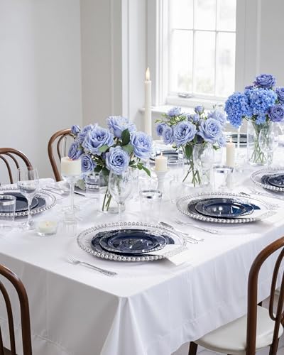 Hioasis 175pcs Blue and Silver Plastic Plates - Elegant Disposable Dinnerware Set Suitable for 25 Guests Include 10.25" Dinner & 7.5" Dessert Plates, Cutlery, Napkins, Cups for Party & Wedding - color: Blue and Silver
