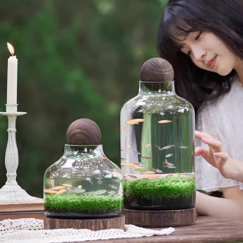 Glass Aquarium with Wooden Base, Microecosphere Fish Tank, Transparent Bottle-Shaped Batta Fish Bowel, Micro-Landscape Ecological Aquarium, Modern Glass Goldfish Tank,XL - color: Xl