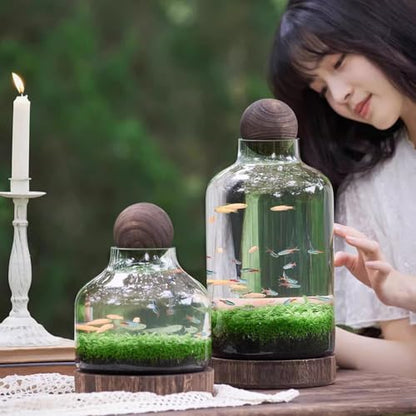 Glass Aquarium with Wooden Base, Microecosphere Fish Tank, Transparent Bottle-Shaped Batta Fish Bowel, Micro-Landscape Ecological Aquarium, Modern Glass Goldfish Tank,L - color: L