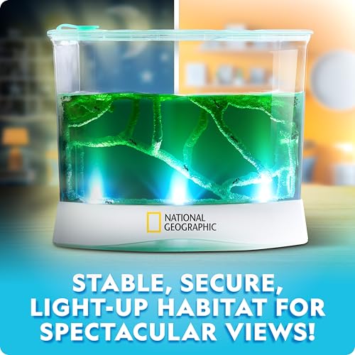 National Geographic Ant Habitat Kit - Light-Up Ant Terrarium with Built-in Magnifiers, Tunnel Starter Tool & More, Ant Activities for Kids, Ant Home, Ant Colony, Ant Habitat, Ant House for Kids - style: Ant Habitat