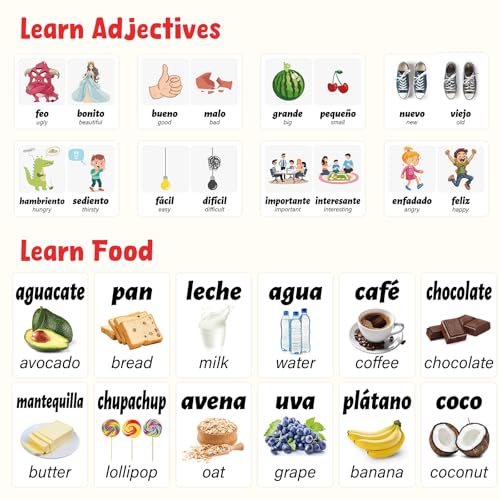 Ceiba Tree Spanish Flash Cards 100 English to Spanish Verb Conjugation Phrases Adjectives Colors Educational Bilingual Flashcards Learn Español for Kids Adult Beginners Toddlers Grade School Classroom