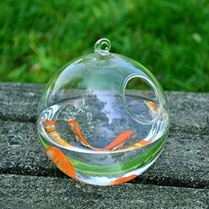 Desk Hanging Fish for Tank Bowl for Flower Plant Vase Ball Glass Clear Round Shape Save Space Convenie Desk Bowl with Stand - color: black