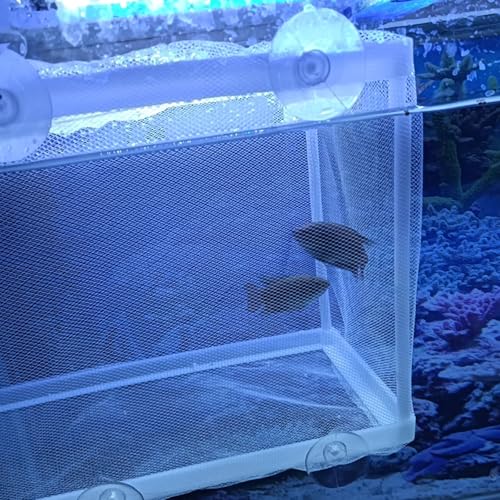 2 Pcs Fish Breeder Incubator Mesh Box, Breeding Box for Fish Tank with Suction Cup