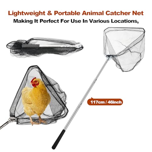 Chicken Catching Net, Animal Catch with Extendable 46In Long Handle | Landing Nets for Bird, Ducks, Cat, Dogs, Frog, Fishnet, Chicken Catcher for Poultry Supplies - Stainless Steel