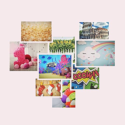 9x6ft Joshua Tree National Park Natural Photography Backdrop American Western Desert Weathering Rock Drought-Tolerant Plant Cactus Photo Event Party Background Portrait Photo Props Polyester - size: 9x6ft-P
