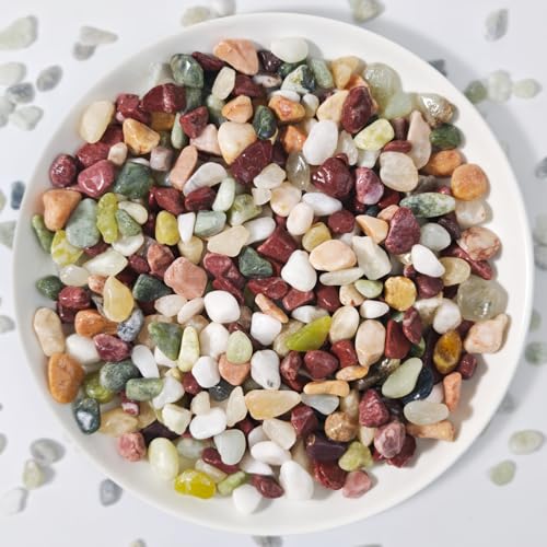 3Lb Pebbles for Succulents,River Rocks for Succulent Plants | Decorative Stones Bonsai Garden Pebbles,Succulent Rocks,Small Aquarium Rocks for Landscaping ,Plants,Vase Fillers - color: Multicolor