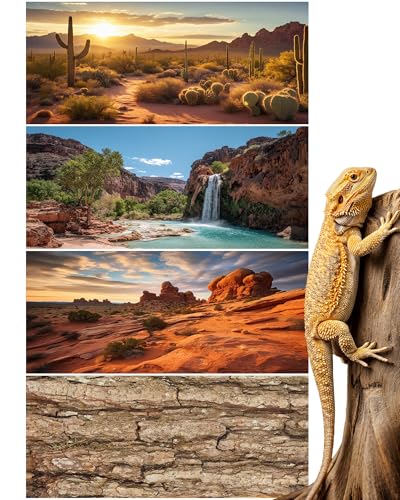 Breling 4 Pcs 36 x 18'' Reptile Tank Background 30/40/50 Gallon Bearded Dragon Terrarium Background Decor Polyester Reptile Tank Accessories for Leopard Gecko, Crested Gecko, Tortoises - size: 36 x 18 Inch