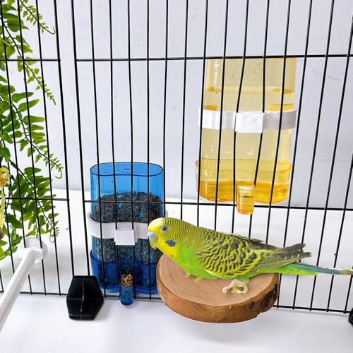 Parakeet Water Dispenser Parrot Water Feeder Bird Seed Container for Cage Cockatiel Cage Accessories Automatic Feeding for Budgies Finch Small Birds 2pcs - color: Coloured