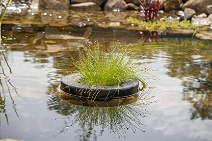 PondH2o Floating Aquatic Water Garden Pond Planter Basket, 10 Inch (26cm) Round Fabric Floatable Flower Plant Pot Aquaponics, Hydroponics, Flower Islands for Ponds and Water Features