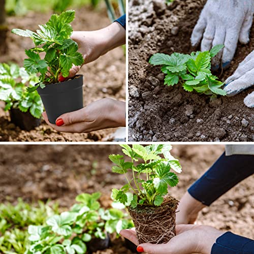 SwinDuck 4 inch Small Plant Pots, 28 Pack Plastic Planters with Drainage Holes and Saucers for Flowers Plants, Succulents, Seed Starting Pots, Black - color: Black