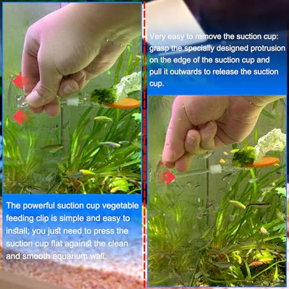 4pcs Suction Cup with Clip Aquarium Suction Cup Clips Seaweed Fish Feeding Clip Saltwater Aquarium Veggie Feeder clamp Fish Accessories (4pcs Suction Cup with Long Clip) - size: 4pcs suction cup with long clip