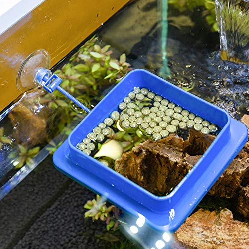 Fish Feeding Ring, Floating Food Feeder Thicken Square, Reduces Waste and Maintains Water Quality, for Flakes and Floating Fish Foods, for Guppy, Betta, - color: Blue Wide