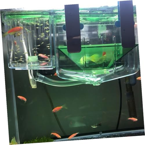 Balacoo Self Guided Acrylic Fish Breeding Tank Isolation Box for Aquarium Transparent Incubator with Isolated Compartments to Protect Juvenile Pregnant Fish and Shrimp Enhances Survival