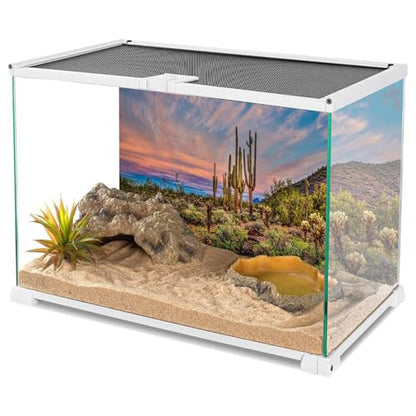 AWERT 30x18 inches Terrarium Background Blue Sky Cloud Huge Cactus Oasis Gobi Reptile Habitat Background Vinyl | AWERT Huge Cactus Blue Sky Cloud Desert Gobi Vinyl Terrarium Background - size: 30x18in/75x45cm