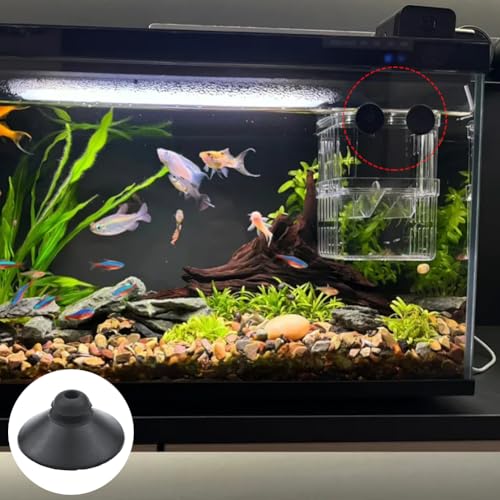 Aquarium Suction Cups Pack of 24 Black Rubber Fish Tank Pump & Airline Tubing Holders