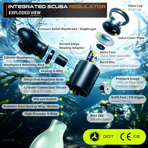 GOYOJO Mini Scuba Tank, Portable Diving Lung Air Tank with DOT Certified | Refillable Emergency Backup Pony Bottle for Snorkeling, Underwater Breathing, Training - color: 0.5L Mint Green