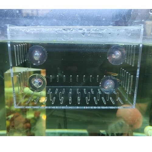 Acrylic Fish Tank Isolation Box 6"x4"x4" - No Assembly - Clear View Breeding Hatchery with Suction Cups & Feeding Kit (Fish Feeder - Pipette Included