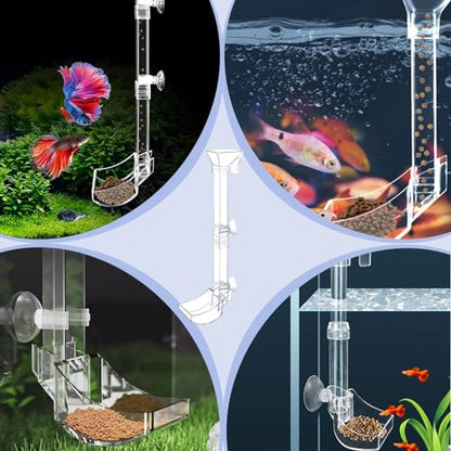 Aquarium Fish Shrimp Feeding Dish Set - Clear Feeder Tube and Dish With Cleaning Brush and Measuring Spoon for Preventing Food Scattering - Supplies for Shrimp Medium - size: Medium