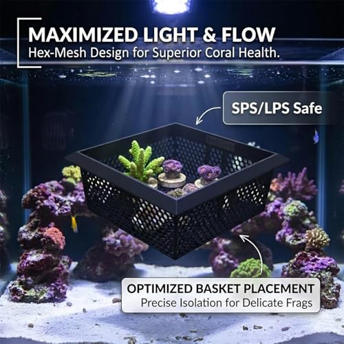 Floating Coral Basket for Reef Tanks (4x6 inch), Anemone and Frag Isolator Cup Mount, Saltwater Aquarium Safe