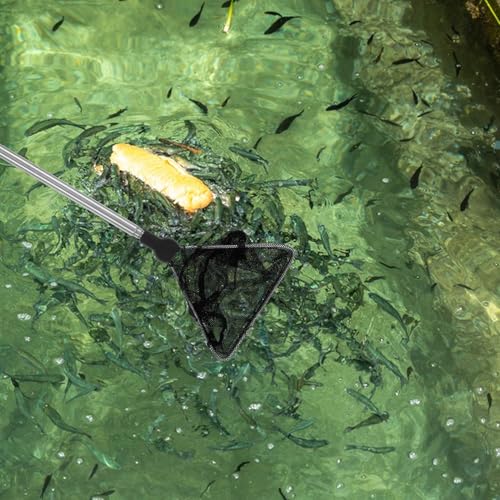2pcs Fine Mesh Aquarium Fish Nets with Stainless Steel Handle Small Nylon Shrimp and Fish Catch Nets for Freshwater and Saltwater Tanks and Adults
