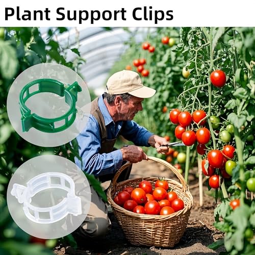 100 Pcs Plant Support Clips,Plastic Clips for Securing Plants,Tomato Vine Clips,Plant Fixing Clips,Garden Clips for Climbing Plants,Grape,Vine Vegetables (100, White) - color: White