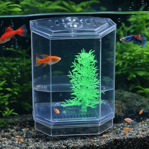 Mini Fish Breeding Box Acrylic Isolation Tank with Dirt Groove for Aquarium Fish Observation and Protection (Single) - size: Single