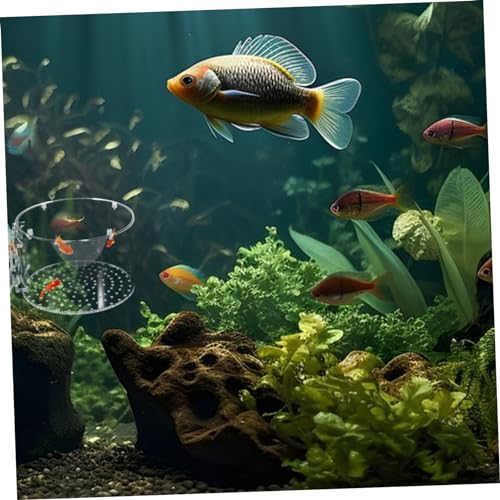 FOMIYES Fish Breeding Box Aquarium Accessory Isolation Box for Fish Tank for Shrimp for Observation and Breeding