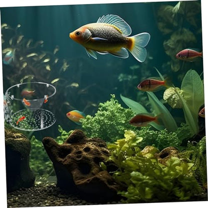 FOMIYES Fish Breeding Box Aquarium Accessory Isolation Box for Fish Tank for Shrimp for Observation and Breeding