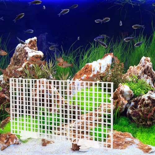 Aquarium Bottom Filter Board and Fish Tank Isolation Plate Set, Plastic Grid Divider 30x15cm with Suction Cups for Aquarium Separation and Breeding