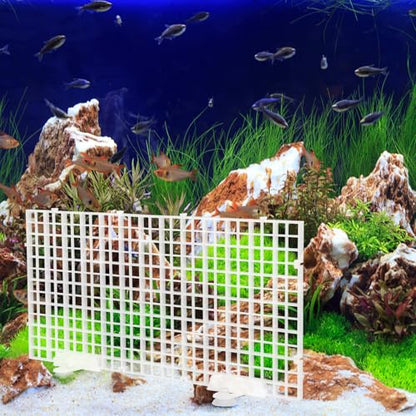 Aquarium Bottom Filter Board and Fish Tank Isolation Plate Set, Plastic Grid Divider 30x15cm with Suction Cups for Aquarium Separation and Breeding