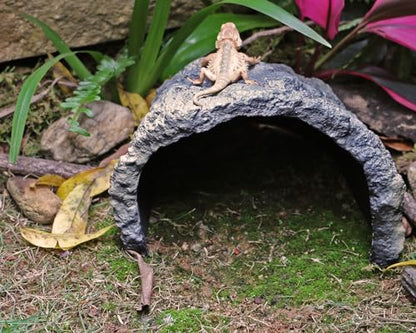 Rock Cave Habitat Hidden for Reptile and Amphibians.Terrarium & Aquarium Decor, Reptile hideout Hide Cave, Perfect for Bearded Dragons,Lizards,Snakes,Turtles,Geckos,Tortoises,Small Animals -Large Size - style: Extra Large Size ( Grey )