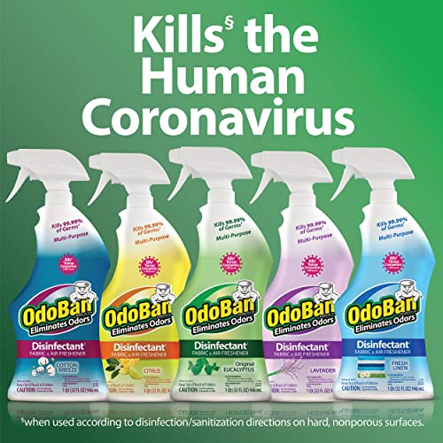 OdoBan Ready-to-Use Disinfectant and Odor Eliminator, Set of 3 Spray Bottles, 32 Ounces Each, Original Eucalyptus Scent - size: 32 Fl Oz (Pack of 3)