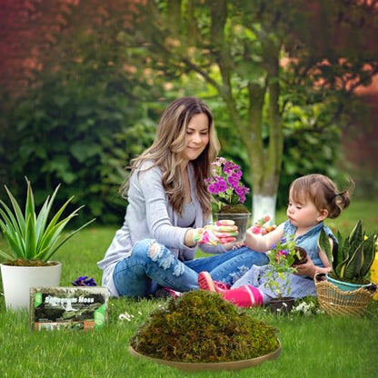 Doter Dried Forest Moss for Plants (5 qt / 1 Pack), Sphagnum Potting Moss for Various Plants, Including Orchids, Carnivorous Plants, Succulents, Garden Flowers, and Reptiles