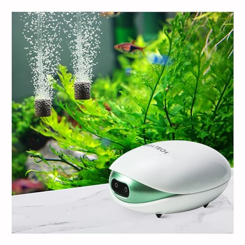 Aquarium Air Pump Kit 2.5W,Fish Tank Oxygen Pump | Oxygen aerator kit includes air tube bubble stone & check valve, Adjustable airflow quiet operation for fish tanks - style: 2 Outlets,10-60 Gallon