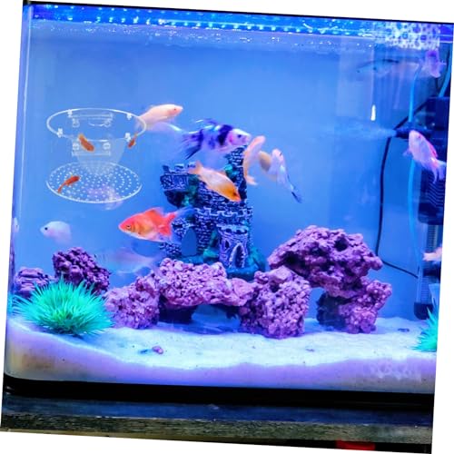 UPKOCH Fish Isolation Breeding Box Fish Hatching Tank for Fry Easy to Install Cups for Aquariums