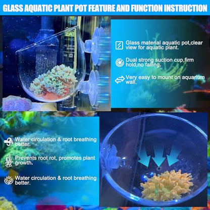 4pcs Glass Aquarium Decor Plant Pot，Crystal Aquatic Plant Pot with Suction Cup, Betta Resting Bed Spot，Aquarium Planter Landscaping Cup with Stones Clip and Tweezers (4pcs Glass Aquarium Plant Pot) - size: 4pcs glass aquarium plant pot