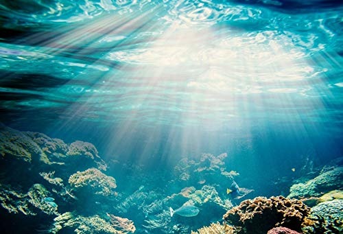 Under the Sea Photography Backdrop 10x8ft Vinyl Aquarium Underwater Sunlight Background Fishes Corals Background for Party Baby Children Photo Shoot Birthday Backdrop Video Studio Props - color: blue, size: 10x8ft