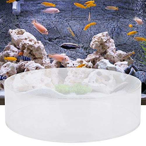 YUYTE Floating Magnifier Top Fish Acrylic Observe Lense, Premium Cylinder Magnifier for Enhanced Photography with High Transparency (200mm) - size: 200mm