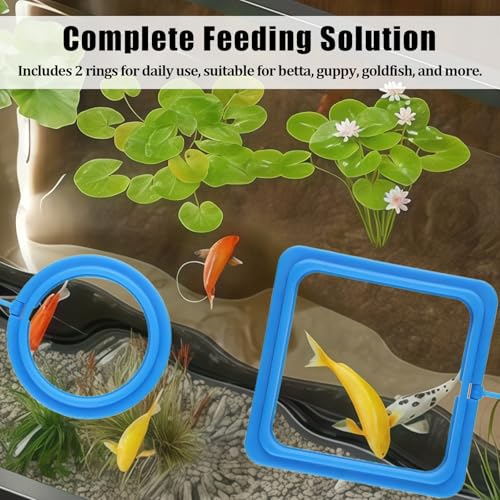 2PCS Small Fish Feeding Ring, Square and Round Mini Aquarium Feeder with Strong Suction Cup Floating Fish Feeder Ring for Betta Goldfish Guppy (Blue) - color: Blue