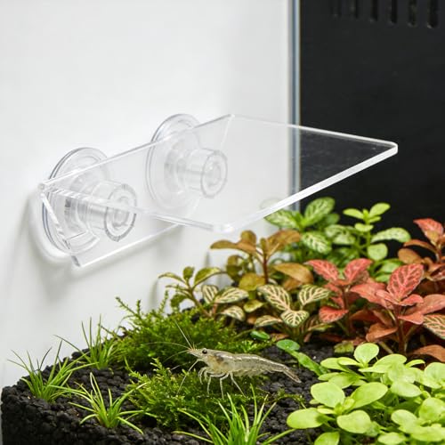 Kichvoe Aquarium Floating Shelf: Fish Tank Acrylic Ledge Plants Holder with Suction Cup - 5.9x4x2in Transparent Ledge for Aquarium Coral Aquatic Plants Moss - size: 15.00X10.00X5.00CM