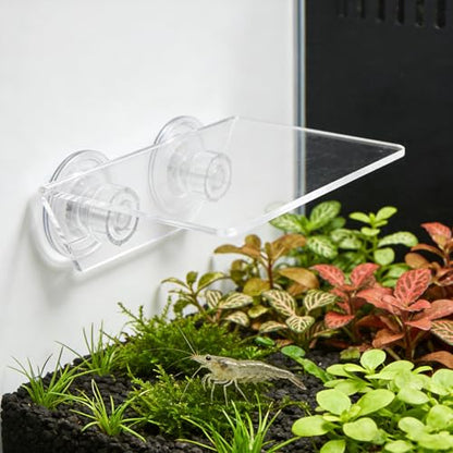 Kichvoe Aquarium Floating Shelf: Fish Tank Acrylic Ledge Plants Holder with Suction Cup - 5.9x4x2in Transparent Ledge for Aquarium Coral Aquatic Plants Moss - size: 15.00X10.00X5.00CM