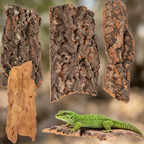4Pcs Cork Bark for Reptile Terrarium: Natural Wood Cork Hideouts Water Bark Tube Decor, Cork Bark Terrarium for Turtle Beared Dragon Chameleon Snake, Random Size