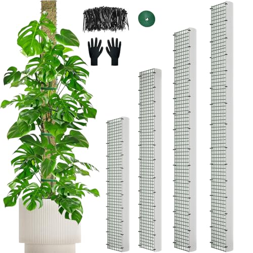 70"/60"/40"/24" Metal Moss Pole, D Shape Sphagnum Moss Pole, Moss Poles for Climbing Plants, Monstera, Indoor Climbing Plants (1 Each of 70" 60" 40" 24") - style: 1 Each of 70" 60" 40" 24"