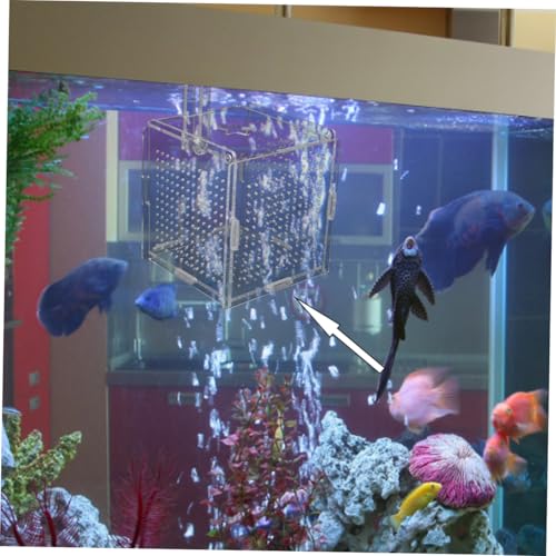 BESPORTBLE 1set Acrylic Fish Isolation Box for Aquariums with Cups and Breeding Box for Newborn Fish Transparent Cover Prevents Escape and Design