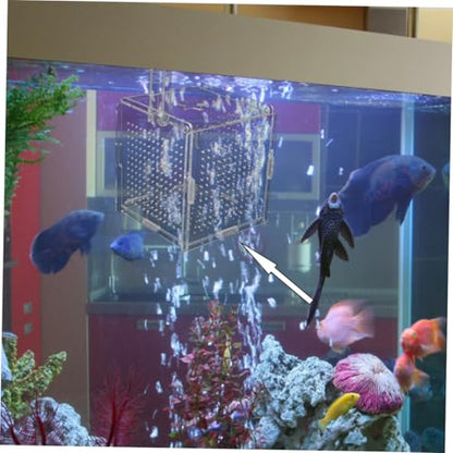 BESPORTBLE 1set Acrylic Fish Isolation Box for Aquariums with Cups and Breeding Box for Newborn Fish Transparent Cover Prevents Escape and Design