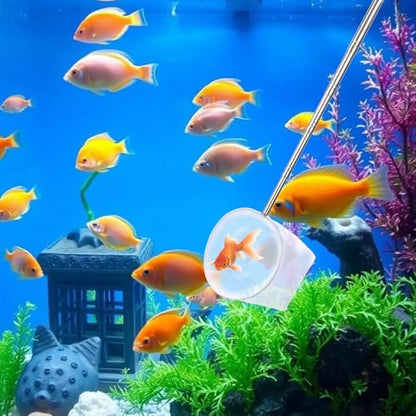 4 Inch Aquarium Net, Fish Net for Fish Tank with 8.6" to 39" Long Extendable Stainless Steel Handle Blue Round Small Aquarium Fine Mesh Shrimp Nets Pond Food Residue Debris Skimming for Fishes Shrimp